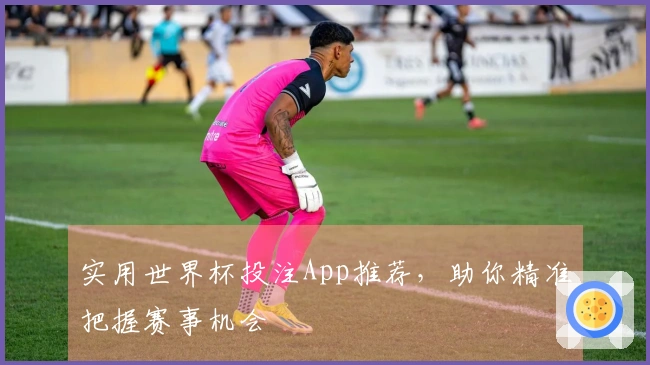 实用世界杯投注App推荐，助你精准把握赛事机会