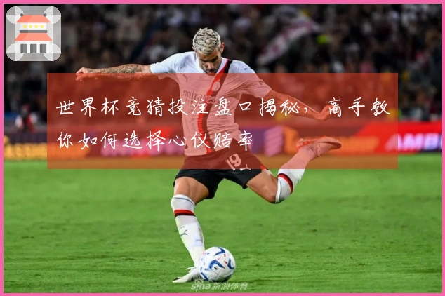 世界杯竞猜投注盘口揭秘，高手教你如何选择心仪赔率