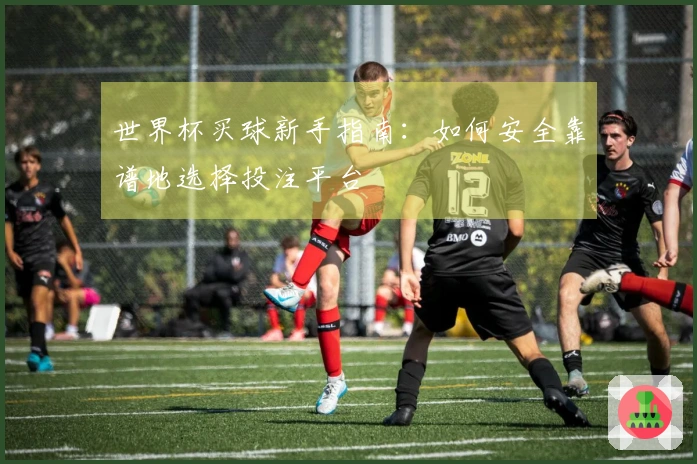 世界杯买球新手指南：如何安全靠谱地选择投注平台