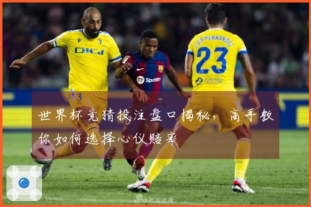 世界杯竞猜投注盘口揭秘，高手教你如何选择心仪赔率