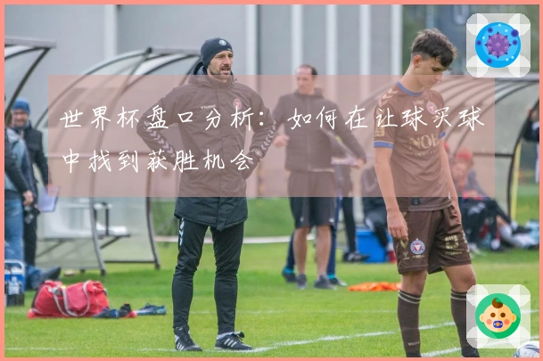 世界杯盘口分析：如何在让球买球中找到获胜机会